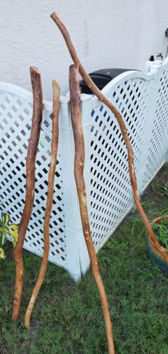 Walking Sticks & Staffs handmade by WhittleWood Woodworks, photo 157