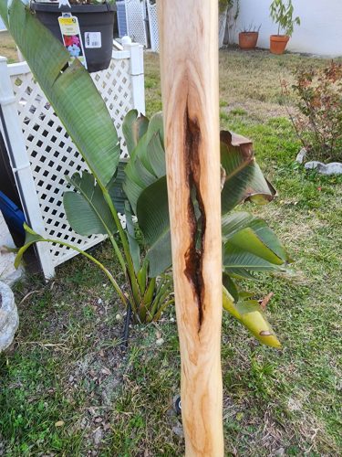 Walking Sticks & Staffs handmade by WhittleWood Woodworks, photo 57