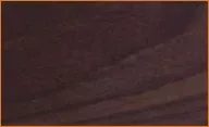 African Blackwood wood sample