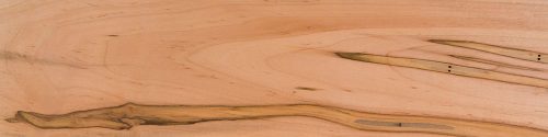 Ambrosia Maple wood sample