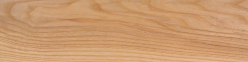 Ash wood sample