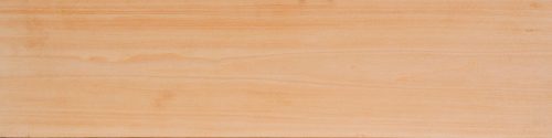 Basswood wood sample