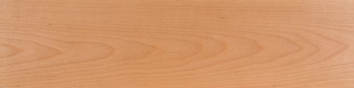 Birch wood sample