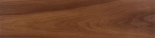 Black Walnut wood sample