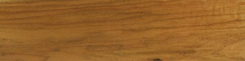 Butternut wood sample