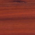 African Padauk