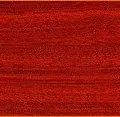 Bloodwood