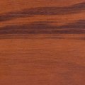 Goncalo Alves-Tigerwood