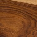 Indian Rosewood