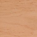 birdseye maple wood